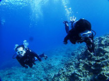 沖縄青の洞窟ダイビングショップ【マリンクラブクレアブログ】