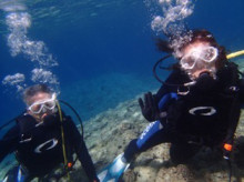 沖縄青の洞窟ダイビングショップ【マリンクラブクレアブログ】