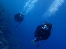 沖縄青の洞窟ダイビングショップ【マリンクラブクレアブログ】