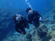 沖縄青の洞窟ダイビングショップ【マリンクラブクレアブログ】