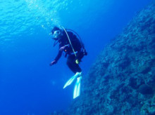 沖縄青の洞窟ダイビングショップ【マリンクラブクレアブログ】