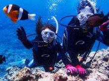 沖縄青の洞窟ダイビングショップ【マリンクラブクレアブログ】