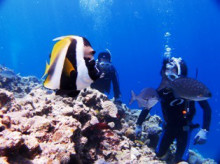 沖縄青の洞窟ダイビングショップ【マリンクラブクレアブログ】