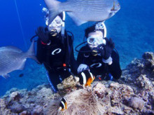 沖縄青の洞窟ダイビングショップ【マリンクラブクレアブログ】