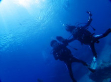 沖縄青の洞窟ダイビングショップ【マリンクラブクレアブログ】