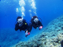 沖縄青の洞窟ダイビングショップ【マリンクラブクレアブログ】