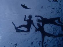 沖縄青の洞窟ダイビングショップ【マリンクラブクレアブログ】