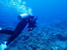 沖縄青の洞窟ダイビングショップ【マリンクラブクレアブログ】