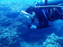 沖縄青の洞窟ダイビングショップ【マリンクラブクレアブログ】