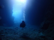 沖縄青の洞窟ダイビングショップ【マリンクラブクレアブログ】