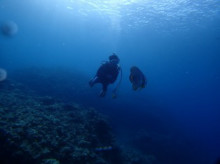 沖縄青の洞窟ダイビングショップ【マリンクラブクレアブログ】