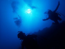 沖縄青の洞窟ダイビングショップ【マリンクラブクレアブログ】