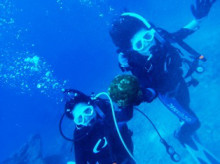 沖縄青の洞窟ダイビングショップ【マリンクラブクレアブログ】