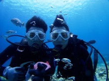 沖縄青の洞窟ダイビングショップ【マリンクラブクレアブログ】