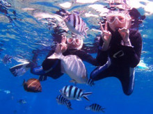 沖縄青の洞窟ダイビングショップ【マリンクラブクレアブログ】