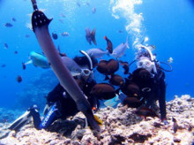 沖縄青の洞窟ダイビングショップ【マリンクラブクレアブログ】