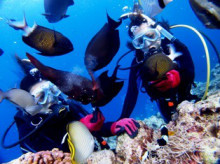 沖縄青の洞窟ダイビングショップ【マリンクラブクレアブログ】