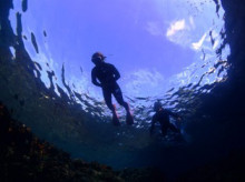 沖縄青の洞窟ダイビングショップ【マリンクラブクレアブログ】