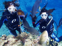 沖縄青の洞窟ダイビングショップ【マリンクラブクレアブログ】