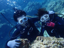 沖縄青の洞窟ダイビングショップ【マリンクラブクレアブログ】