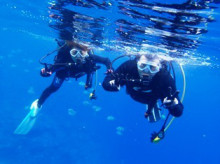 沖縄青の洞窟ダイビングショップ【マリンクラブクレアブログ】