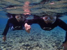 沖縄青の洞窟ダイビングショップ【マリンクラブクレアブログ】