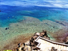 沖縄青の洞窟ダイビングショップ【マリンクラブクレアブログ】