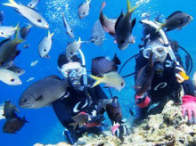 沖縄青の洞窟ダイビングショップ【マリンクラブクレアブログ】