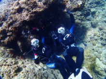 沖縄青の洞窟ダイビングショップ【マリンクラブクレアブログ】