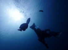 沖縄青の洞窟ダイビングショップ【マリンクラブクレアブログ】