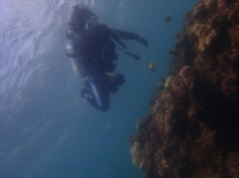 沖縄青の洞窟ダイビングショップ【マリンクラブクレアブログ】