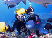 沖縄青の洞窟ダイビングショップ【マリンクラブクレアブログ】