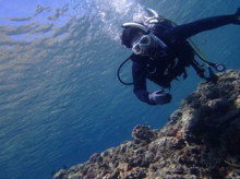 沖縄青の洞窟ダイビングショップ【マリンクラブクレアブログ】