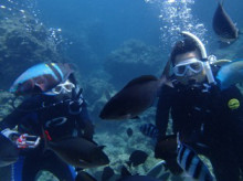 沖縄青の洞窟ダイビングショップ【マリンクラブクレアブログ】