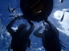 沖縄青の洞窟ダイビングショップ【マリンクラブクレアブログ】