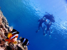 沖縄青の洞窟ダイビングショップ【マリンクラブクレアブログ】