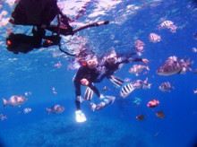 沖縄青の洞窟ダイビングショップ【マリンクラブクレアブログ】