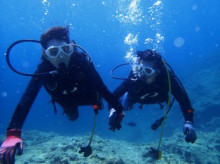 沖縄青の洞窟ダイビングショップ【マリンクラブクレアブログ】