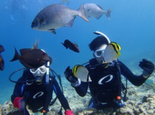 沖縄青の洞窟ダイビングショップ【マリンクラブクレアブログ】