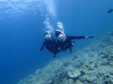 沖縄青の洞窟ダイビングショップ【マリンクラブクレアブログ】