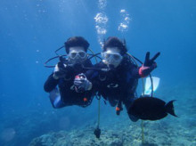 沖縄青の洞窟ダイビングショップ【マリンクラブクレアブログ】