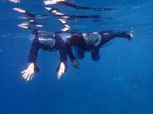 沖縄青の洞窟ダイビングショップ【マリンクラブクレアブログ】