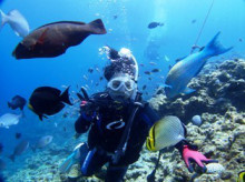 沖縄青の洞窟ダイビングショップ【マリンクラブクレアブログ】