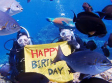 沖縄青の洞窟ダイビングショップ【マリンクラブクレアブログ】