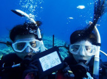 沖縄青の洞窟ダイビングショップ【マリンクラブクレアブログ】