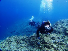 沖縄青の洞窟ダイビングショップ【マリンクラブクレアブログ】