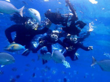 沖縄青の洞窟ダイビングショップ【マリンクラブクレアブログ】