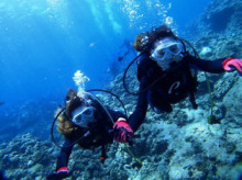 沖縄青の洞窟ダイビングショップ【マリンクラブクレアブログ】