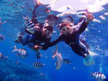 沖縄青の洞窟ダイビングショップ【マリンクラブクレアブログ】