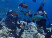 沖縄青の洞窟ダイビングショップ【マリンクラブクレアブログ】